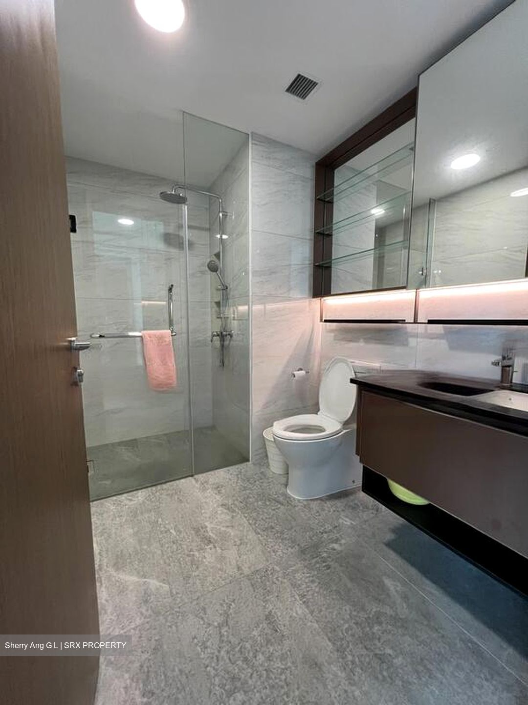 Normanton Park (D5), Apartment #470457511
